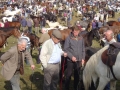 Ballinasloe-horse-fair-03
