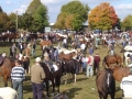 Ballinasloe-horse-fair-04